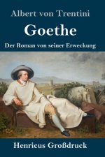 Goethe (Grossdruck)