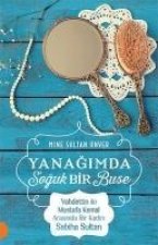 Yanagimda Soguk Bir Buse