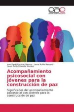 Acompa?amiento psicosocial con jóvenes para la construcción de paz