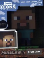 Icon Licht, Minecraft Steve