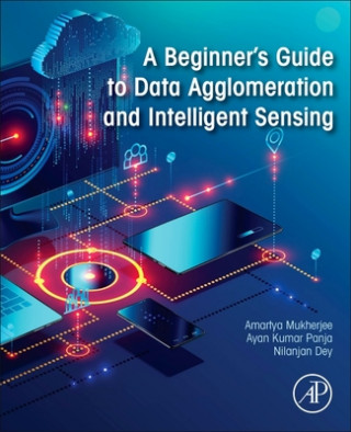 Beginner's Guide to Data Agglomeration and Intelligent Sensing