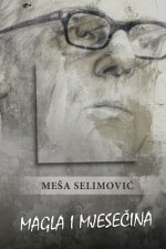 Magla i mjesecina