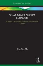 What Drives China's Economy