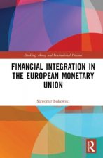 Financial Integration in the European Monetary Union