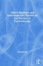 Object Relations and Intersubjective Theories in the Practice of Psychotherapy