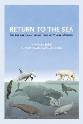 Return to the Sea