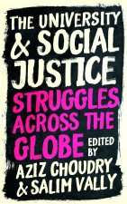 University and Social Justice