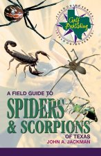 Field Guide to Spiders and Scorpions of Texas