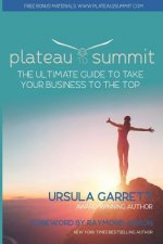 Plateau to Summit: The Ultimate Guide to Take Your Business to the Top