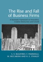 Rise and Fall of Business Firms
