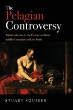 Pelagian Controversy