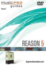 REASON 5 BEGINNER
