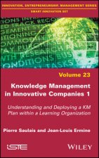 Knowledge Management in Innovative Companies 1 - Understanding and Deploying a KM Plan within a Learning Organization