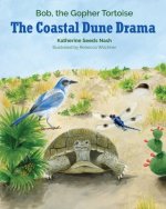 Coastal Dune Drama