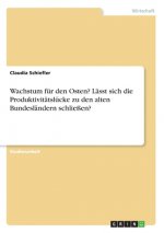 Wachstum für den Osten? Lässt sich die Produktivitätslücke zu den alten Bundesländern schließen?