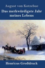 merkwurdigste Jahr meines Lebens (Grossdruck)
