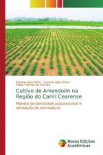 Cultivo de Amendoim na Regi?o do Cariri Cearense