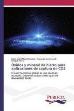 Oxidos y mineral de hierro para aplicaciones de captura de CO2