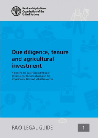 Due diligence, tenure and agricultural investment