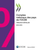 Comptes Nationaux Des Pays de l'Ocde, Volume 2019 Numero 2 Tableaux Detailles