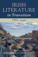 Irish Literature in Transition, 1880-1940: Volume 4
