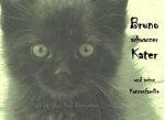 Bruno schwarzer Kater