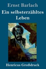 selbsterzahltes Leben (Grossdruck)