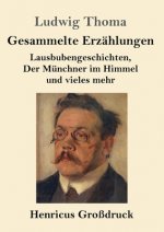 Gesammelte Erzahlungen (Grossdruck)