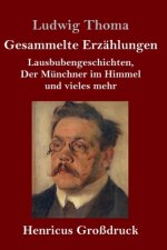 Gesammelte Erzahlungen (Grossdruck)