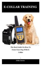 E-Collar Training: The best guide on how to train your dog with e-collar