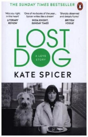 Lost Dog