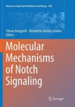 Molecular Mechanisms of Notch Signaling