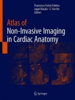 Atlas of Non-Invasive Imaging in Cardiac Anatomy