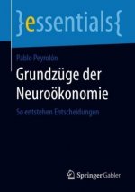 Grundzuge Der Neurooekonomie