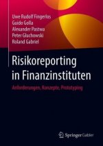 Risiko-Reporting in Finanzinstituten