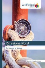 Direzione Nord