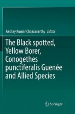 The Black spotted, Yellow Borer, Conogethes punctiferalis Guenée and Allied Species