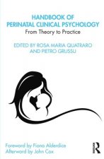 Handbook of Perinatal Clinical Psychology