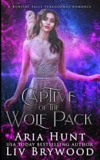 Captive of the Wolf Pack: A Bonfire Falls Paranormal Romance