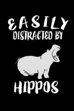 Easily Distracted By Hippos: Animal Nature Collection