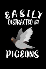 Easily Distracted By Pigeons: Animal Nature Collection