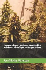 Cannabis anbauen - Marihuana unter Kunstlicht kultivieren - Für Anfänger und Fortgeschrittene