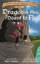 Dragons Are Meant to Fly
