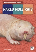 Weird and Wonderful Animals: Naked Mole Rats