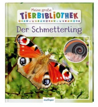 Meine große Tierbibliothek: Der Schmetterling