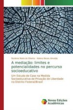A mediação: limites e potencialidades no percurso socioeducativo