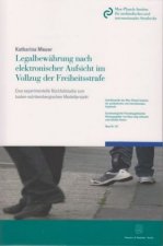 Legalbewährung nach elektronischer Aufsicht im Vollzug der Freiheitsstrafe.