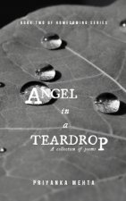Angel in a Teardrop
