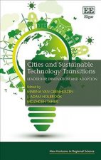 Cities and Sustainable Technology Transitions - Leadership, Innovation and Adoption