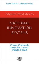 Advanced Introduction to National Innovation Systems